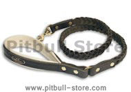 4 Foot Braided Leash with padded handle