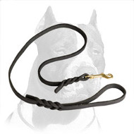 Pitbull Dog Leash Top Notch Quality