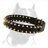 Saucy Spiked Leather Pitbull Dog Collar