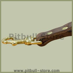 Leather Alternative Short Leashes for Pitbull collar