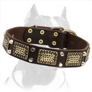 Extra Durable Leather Pitbull Dog Collar with Marvelous Decorations