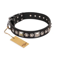 'Eternal Beauty and Style' FDT Artisan Adorned Black Leather Pitbull Dog Collar - 1 1/2 inch (40mm) wide