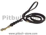 Leather Dog Leash 2 to 6 FOOT x 1/2-Inch for Pitbull Terrier