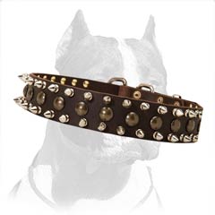 Pitbull Dog Leather Collar with Spikes and Studs