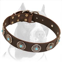 Pitbull Leather Dog Collar with Silver Plated Circles & Blue Stones