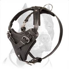 Sturdy Agitation/Protection Leather Dog Harness for Pitbull