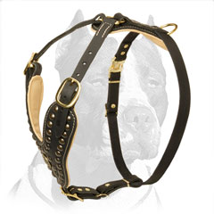 Handmade Studded Leather Dog Harness for Pit Bull