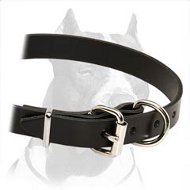 Best Quality Leather Dog Collar for Pitbull