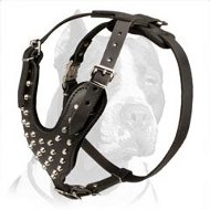 Studded/Pyramids Leather Dog Harness for PitBull