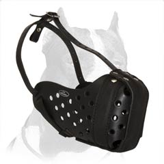 Pitbull Agitation Leather Muzzle