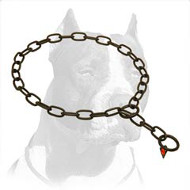 Best-Fitted Pitbull Dog Steel Collar