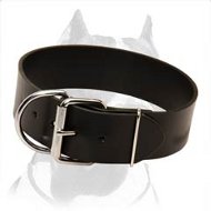 2 inch Wide Leather Pitbull Dog Collar