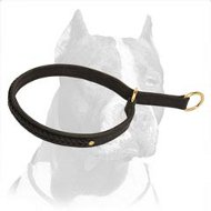 Fashion 2 Ply Leather Choke Dog Collar with Braid