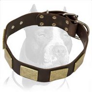 Handcrafted Leather Dog Collar With Vintage Massive Plates