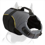 Pitbull Dog Harness for Winter activities and Rehabilitation