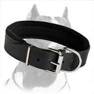 Padded Pitbull Dog Collar for daily Activities, Walking and Training