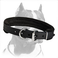 Pitbull Dog Comfortable Leather Collar with felt Padding