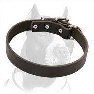 Adjustable Leather Collar with Nickel-plated Hardware for Pitbull