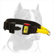 Extra Comfortable Nylon Dog Collar with Handle for Pitbull
