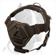 Pitbull Dog Nylon Harness for training