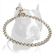 Swagger Pitbull Dog Choke Collar