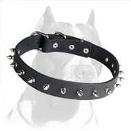 A New Fancy Leather Spiked Collar for Pitbull Breed
