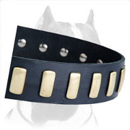 A New Unsurpassed Leather Collar with Metal Plates for Pitbull Breed