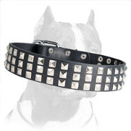 The High-grade Leather Collar with 3 Rows of Nickel Pyramids - A Dazzling Beauty for your Pitbull