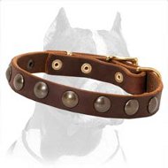 Leather Collar with Brass Studs
