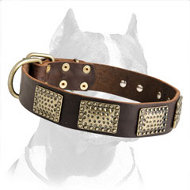 Extravagant Leather Dog Collar with Plates for Walking Pitbull