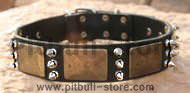 Gorgeous War Dog Leather Dog Collar-massive bras plates+3 spikes