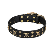 'Jolly Rojer' FDT Artisan Leather Pitbull Collar with Pirate Skulls and Studs - 1 1/2 inch (40 mm) wide