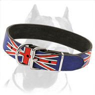 Marvelous Pitbull Dog Collar Hand-Painted in British Style