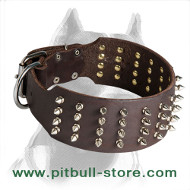 Wide and Strong Pitbull Dog Collar with Nickel Spikes