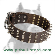 Extra Wide Pitbull Dog Collar with Spikes