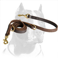 Premium Quality Pitbull Dog Leash with Two Snap Hooks