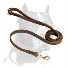 Pitbull Dog Leash Superior Design