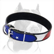 American Flag Dog Collar for Pitbull