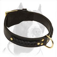 Gorgeous Braided Leather Collar with brass hardware