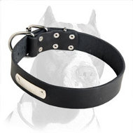 Pitbull Leather Collar with Stainless Steel Name Plate