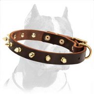 Leather Dog Collar with Brass-Plated Buckle and Spikes