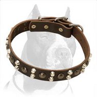 Designer 3 Rows Leather Dog Collar with Pyramids and Studs