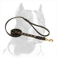 Studded leather dog leash for walking and tracking with your Pitbull