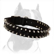 Black Nylon Pitbull Dog Collar with 2 Rows of Spikes