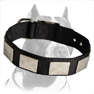 Nylon Dog Collar With Beautiful Vintage Plates for Pitbull