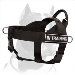 Nylon Search and Rescue Dog Harness with Handle for Pitbull
