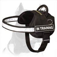 Reflective Nylon Dog Harness with handle for better control