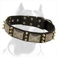 Handcrafted Leather Dog Collar decorated with Spikes and Plates
