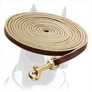 Training/tracking Leather Dog Leash 10mm in width for Pitbull