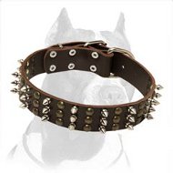 Best Studs and Spikes Leather Dog Collar for Pitbull
